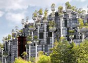 “1000棵樹”將竣工，魔都再現(xiàn)“空中花園”！